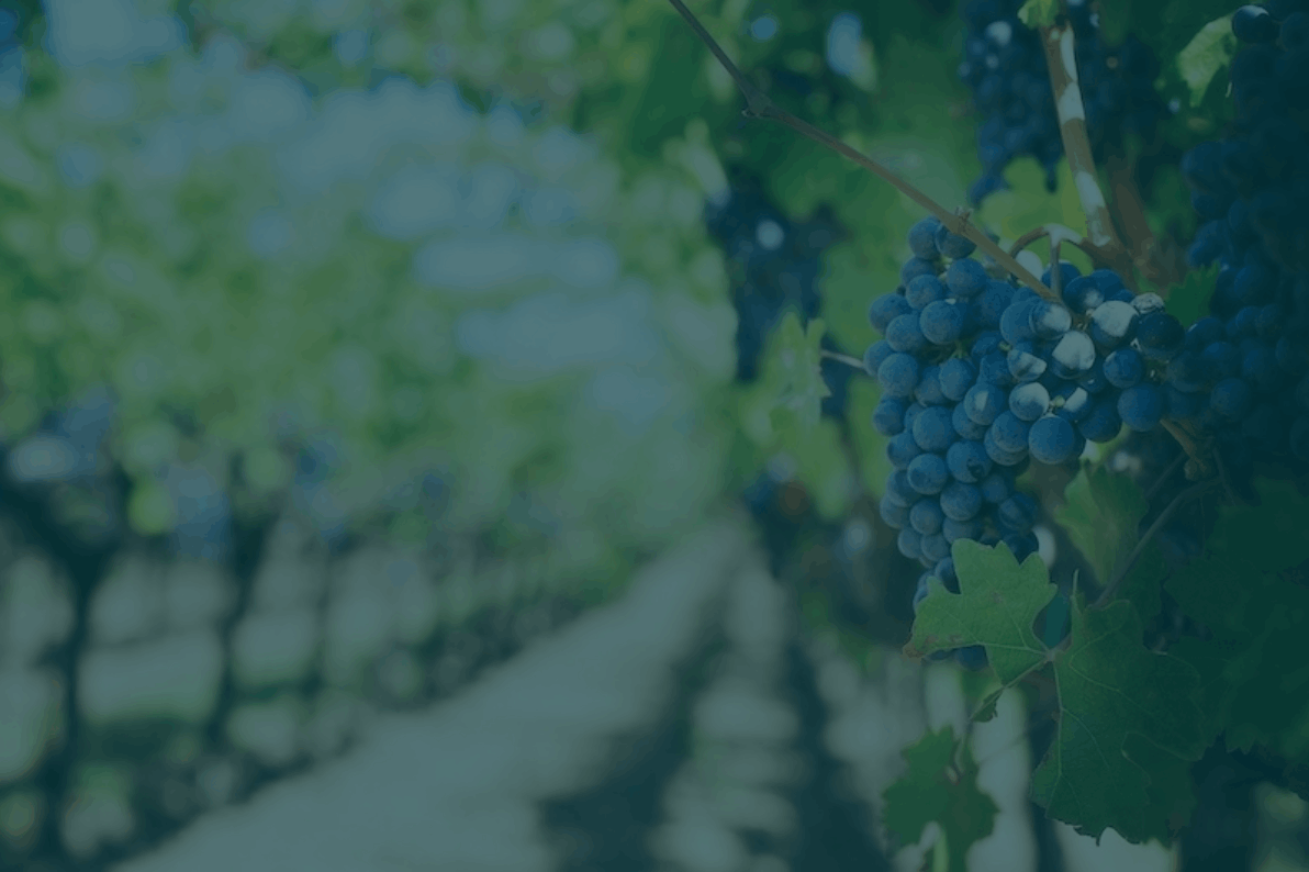 Optimisation de l'agriculture et planification des tournées