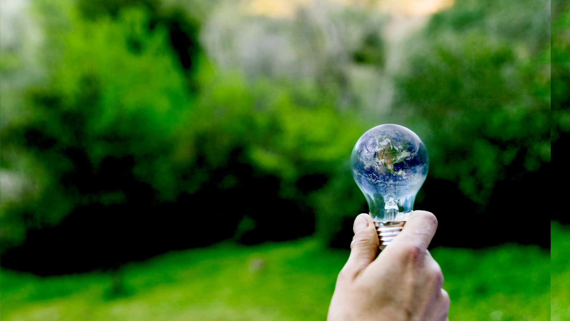 Optimization your planning operations for a greener sypply chain